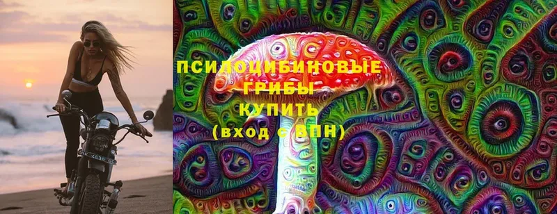 Галлюциногенные грибы Cubensis  где продают   Реутов 